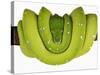 Green Tree Python-Martin Harvey-Stretched Canvas