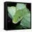 Green Tree Python-null-Framed Stretched Canvas