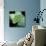 Green Tree Python-null-Mounted Photographic Print displayed on a wall