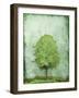 Green Tree-OnRei-Framed Art Print