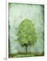 Green Tree-OnRei-Framed Art Print