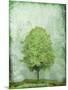Green Tree-OnRei-Mounted Art Print
