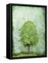 Green Tree-OnRei-Framed Stretched Canvas