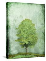 Green Tree-OnRei-Stretched Canvas