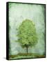 Green Tree-OnRei-Framed Stretched Canvas