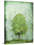 Green Tree-OnRei-Stretched Canvas