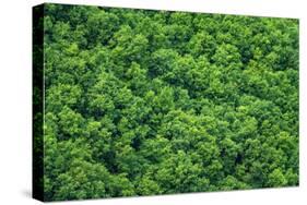 Green Trees Background-mazzzur-Stretched Canvas