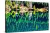 Green Trees Gold Lake Reflection Snoqualmie Pass, Washington State-William Perry-Stretched Canvas