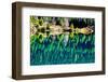 Green Trees Gold Lake Reflection Snoqualmie Pass, Washington State-William Perry-Framed Photographic Print