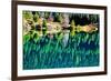 Green Trees Gold Lake Reflection Snoqualmie Pass, Washington State-William Perry-Framed Photographic Print