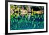 Green Trees Gold Lake Reflection Snoqualmie Pass, Washington State-William Perry-Framed Photographic Print