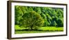 Green trees in a field, Wales-null-Framed Photographic Print