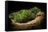 Green Trees View from the inside of the Cave-mazzzur-Framed Stretched Canvas