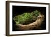 Green Trees View from the inside of the Cave-mazzzur-Framed Photographic Print