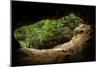 Green Trees View from the inside of the Cave-mazzzur-Mounted Photographic Print