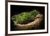 Green Trees View from the inside of the Cave-mazzzur-Framed Photographic Print