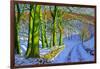 Green Trees, Winter, Dam Lane, Derbyshire-Andrew Macara-Framed Giclee Print