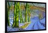 Green Trees, Winter, Dam Lane, Derbyshire-Andrew Macara-Framed Giclee Print