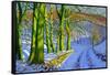 Green Trees, Winter, Dam Lane, Derbyshire-Andrew Macara-Framed Stretched Canvas