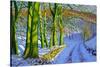 Green Trees, Winter, Dam Lane, Derbyshire-Andrew Macara-Stretched Canvas