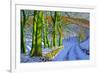 Green Trees, Winter, Dam Lane, Derbyshire-Andrew Macara-Framed Giclee Print