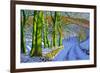 Green Trees, Winter, Dam Lane, Derbyshire-Andrew Macara-Framed Giclee Print