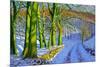 Green Trees, Winter, Dam Lane, Derbyshire-Andrew Macara-Mounted Giclee Print