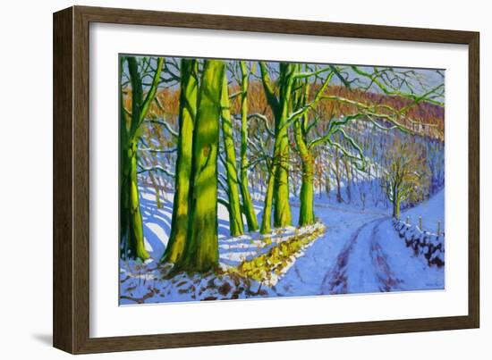 Green Trees, Winter, Dam Lane, Derbyshire-Andrew Macara-Framed Giclee Print