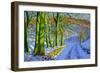 Green Trees, Winter, Dam Lane, Derbyshire-Andrew Macara-Framed Giclee Print