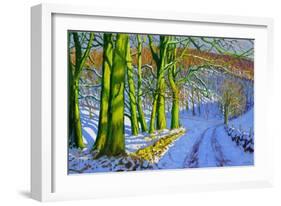 Green Trees, Winter, Dam Lane, Derbyshire-Andrew Macara-Framed Giclee Print