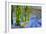 Green Trees, Winter, Dam Lane, Derbyshire-Andrew Macara-Framed Giclee Print