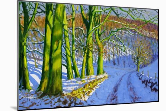 Green Trees, Winter, Dam Lane, Derbyshire-Andrew Macara-Mounted Giclee Print