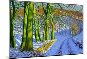 Green Trees, Winter, Dam Lane, Derbyshire-Andrew Macara-Mounted Giclee Print
