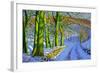 Green Trees, Winter, Dam Lane, Derbyshire-Andrew Macara-Framed Giclee Print