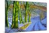 Green Trees, Winter, Dam Lane, Derbyshire-Andrew Macara-Mounted Giclee Print