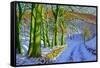 Green Trees, Winter, Dam Lane, Derbyshire-Andrew Macara-Framed Stretched Canvas