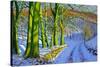 Green Trees, Winter, Dam Lane, Derbyshire-Andrew Macara-Stretched Canvas