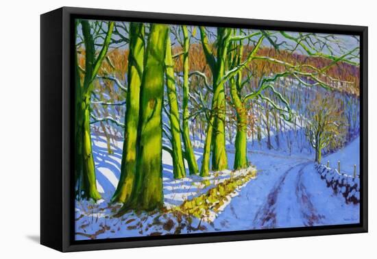 Green Trees, Winter, Dam Lane, Derbyshire-Andrew Macara-Framed Stretched Canvas