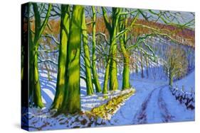 Green Trees, Winter, Dam Lane, Derbyshire-Andrew Macara-Stretched Canvas