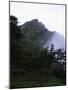 Green Trees with Steep Rock, Chile-Michael Brown-Mounted Photographic Print