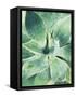 Green Tropical Succulent I-Irena Orlov-Framed Stretched Canvas