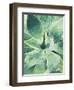 Green Tropical Succulent I-Irena Orlov-Framed Photographic Print