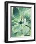 Green Tropical Succulent I-Irena Orlov-Framed Photographic Print