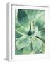 Green Tropical Succulent I-Irena Orlov-Framed Photographic Print