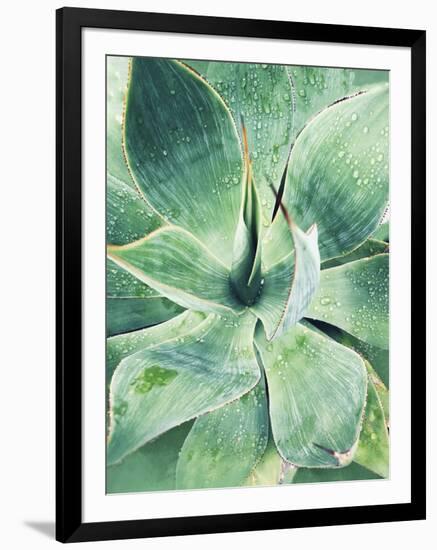 Green Tropical Succulent I-Irena Orlov-Framed Photographic Print