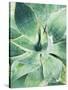 Green Tropical Succulent I-Irena Orlov-Stretched Canvas