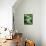 Green Tropical Succulent II-Irena Orlov-Framed Stretched Canvas displayed on a wall