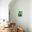 Green Tropical Succulent V-Irena Orlov-Mounted Photographic Print displayed on a wall