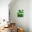 Green Tropical Succulent V-Irena Orlov-Photographic Print displayed on a wall