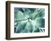 Green Tropical Succulent VII-Irena Orlov-Framed Photographic Print